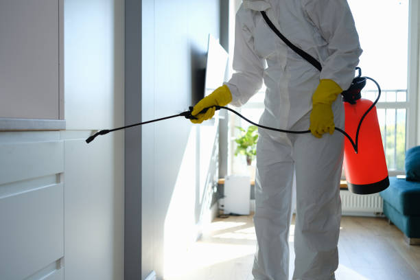 Best Residential Mold Remediation in Lamar, TX