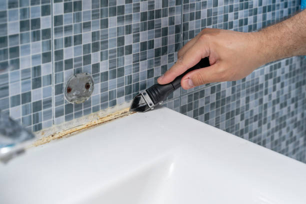 Lamar, TX Mold Remediation Company